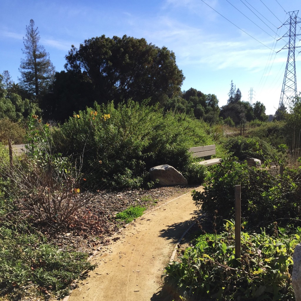 Side Path - Stevens Creek Trail
