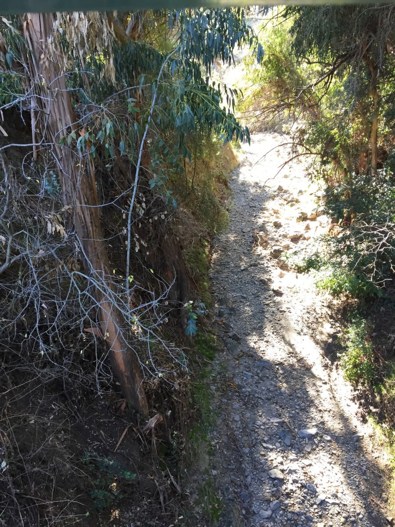 Stevens Creek riverbed